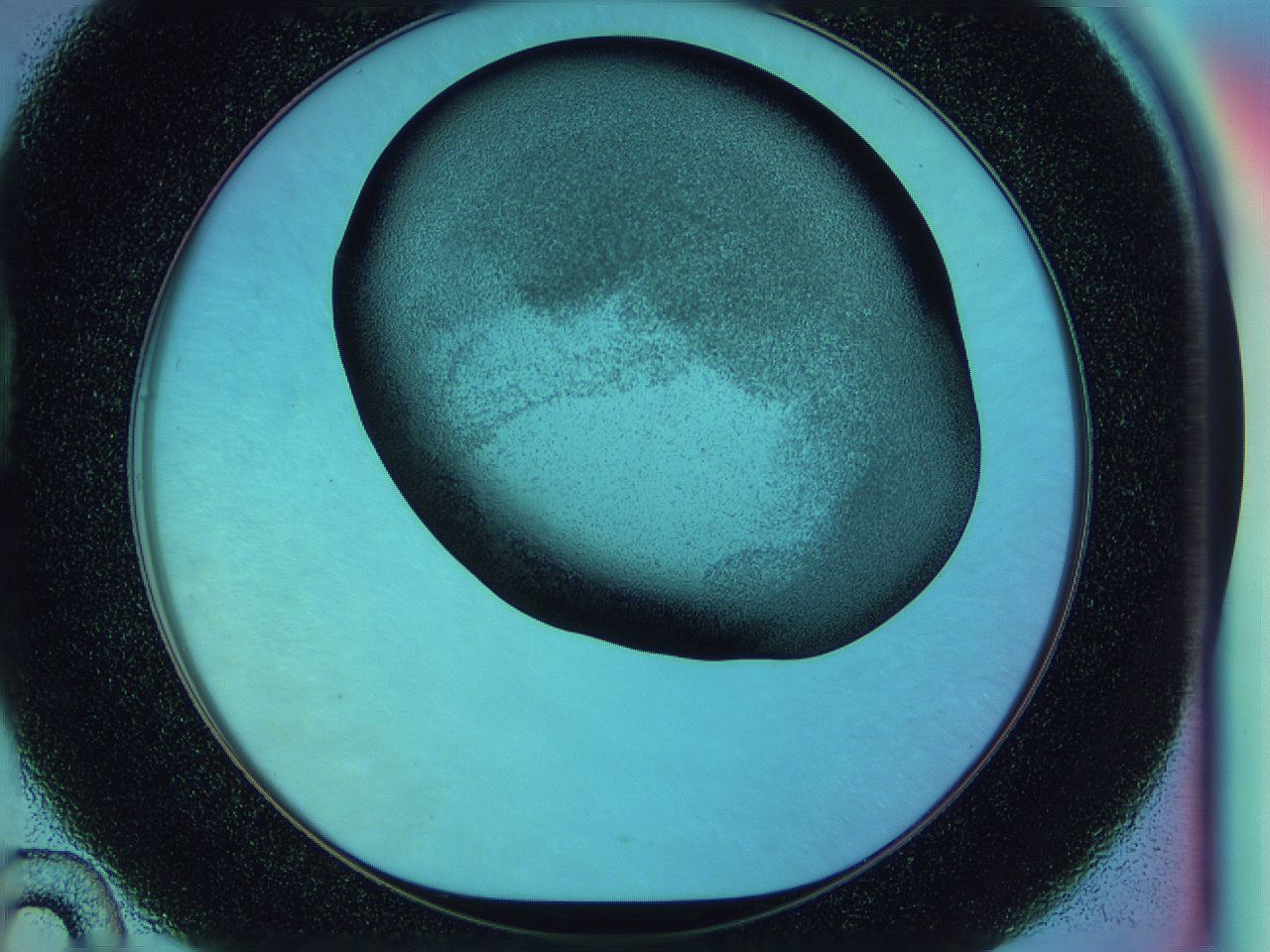 0587_D10_ImagerDefaults_3.jpg