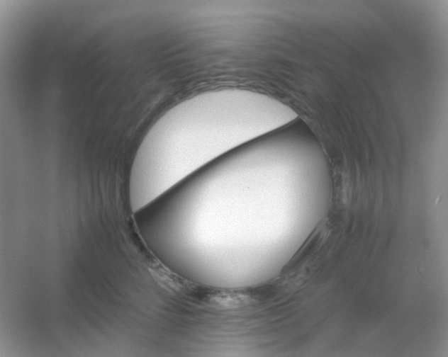 X0000054330712200508111919.png