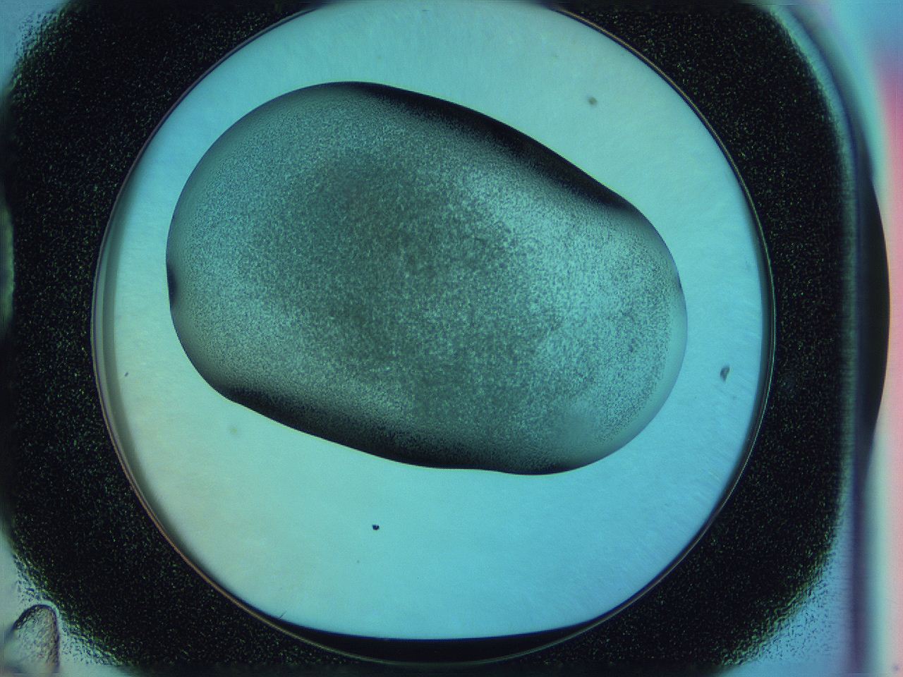 0587_D11_ImagerDefaults_3.jpg