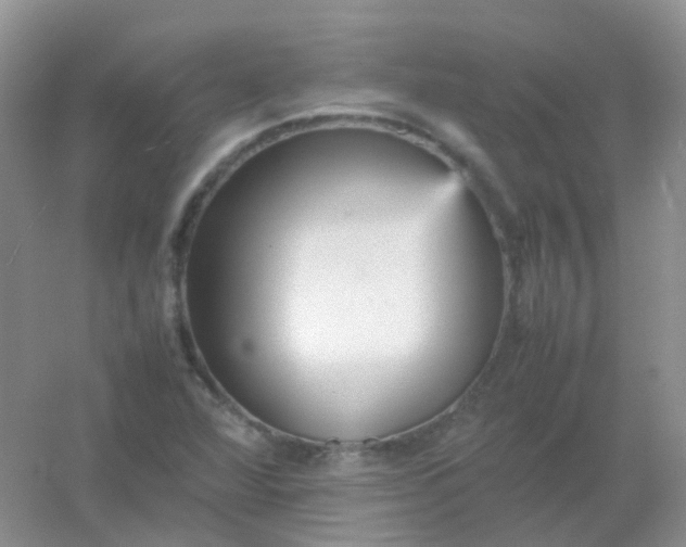X0000054331360200508111908.png