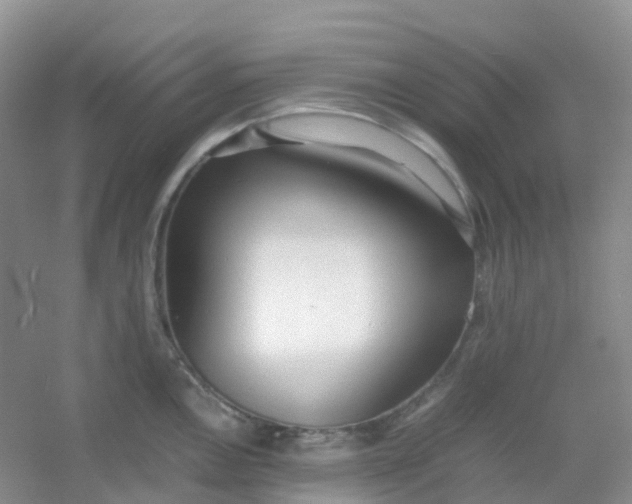 X0000054331146200508111912.png