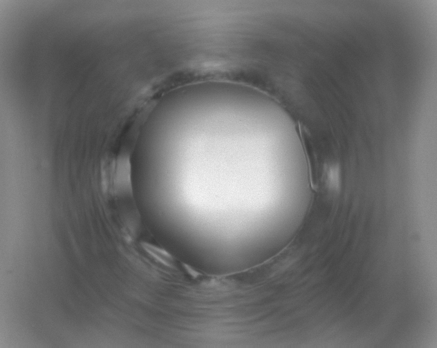 X0000054331348200508111908.png
