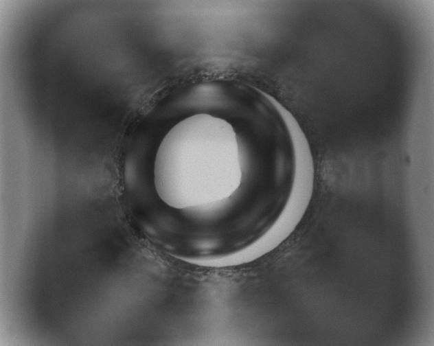 X0000042480868200412062041.png