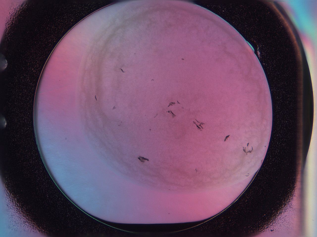 0587_E1_ImagerDefaults_3.jpg
