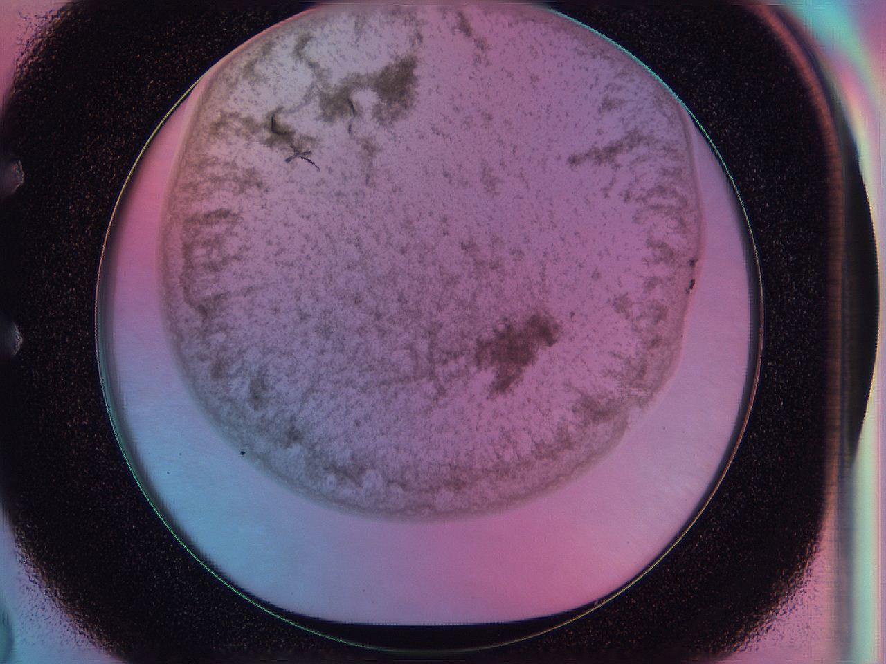 0587_E2_ImagerDefaults_3.jpg