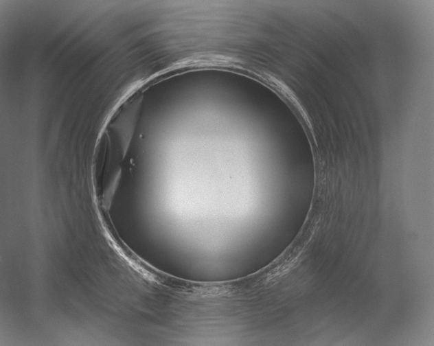 X0000055210997200508301317.png
