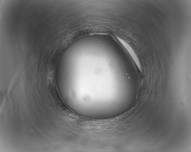 X0000055060033200508161657.png
