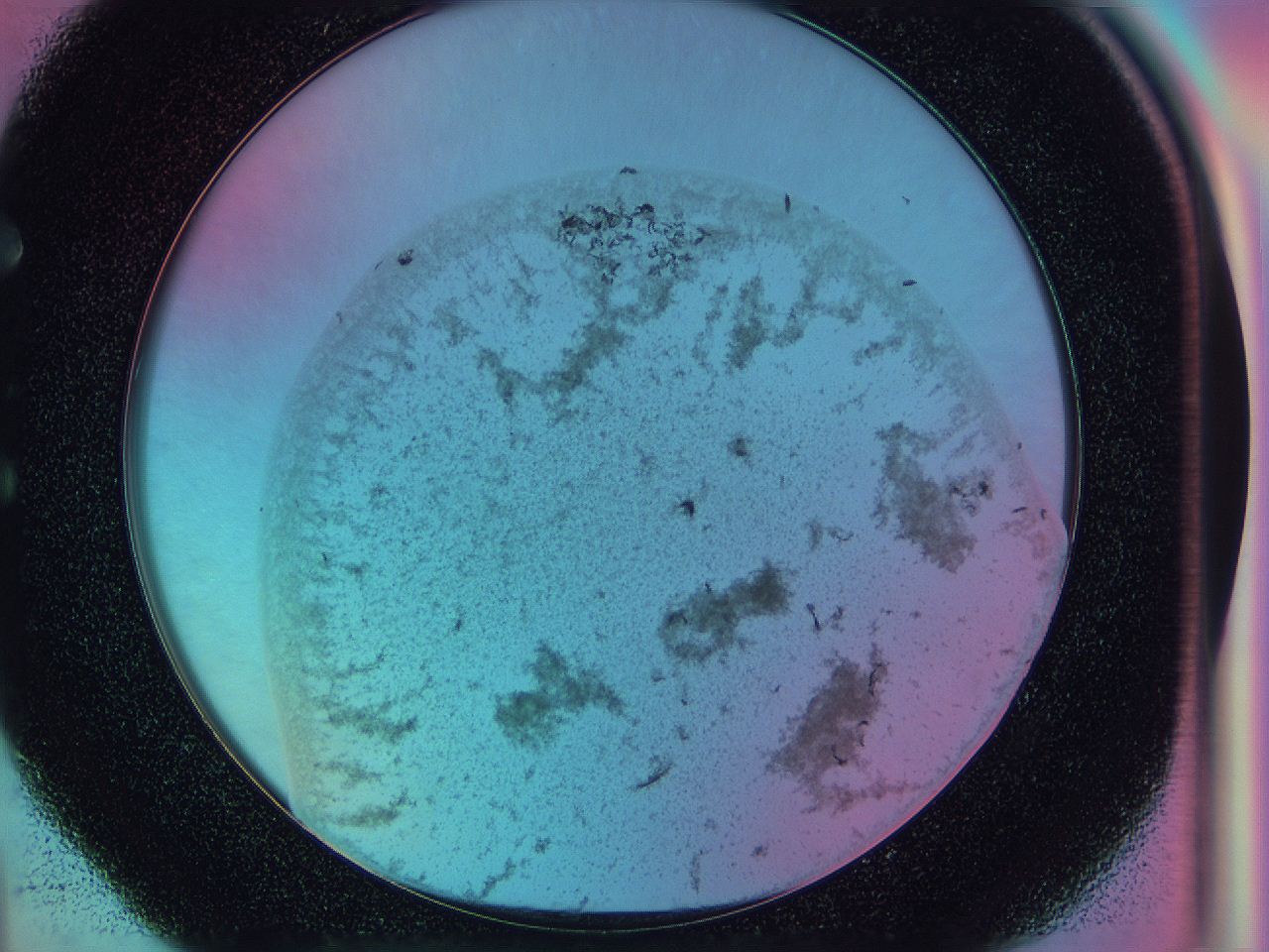 0587_E4_ImagerDefaults_3.jpg