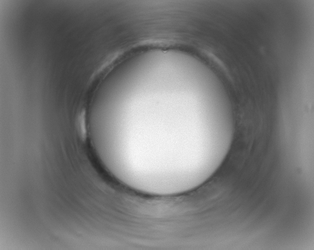 X0000054330020200508111931.png