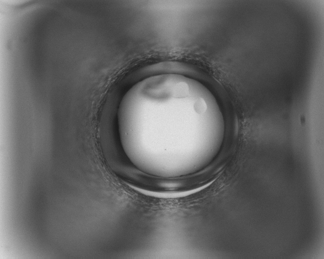 X0000041031249200411081224.png