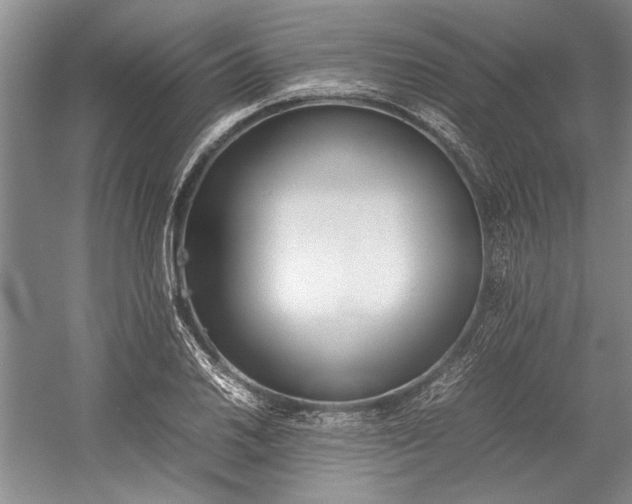 X0000055061030200508161640.png
