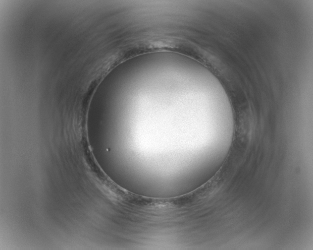X0000054330402200508111924.png