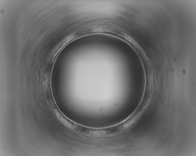 X0000054650801200508091640.png