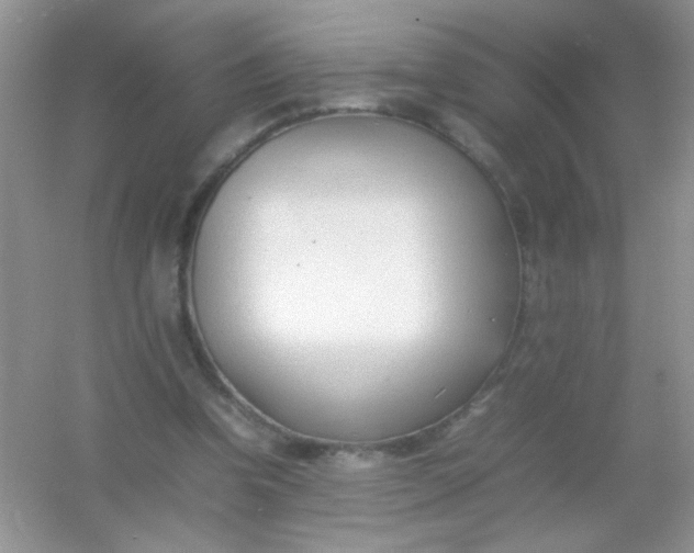 X0000054330346200508111925.png