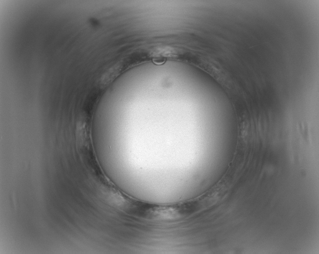 X0000054330322200508111926.png