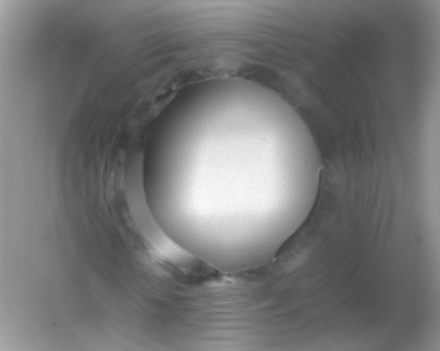 X0000054330818200508111916.png