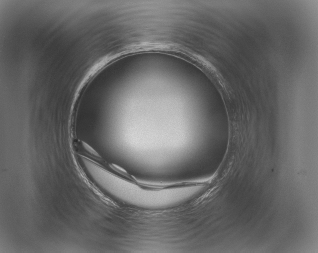 X0000055211373200508301310.png
