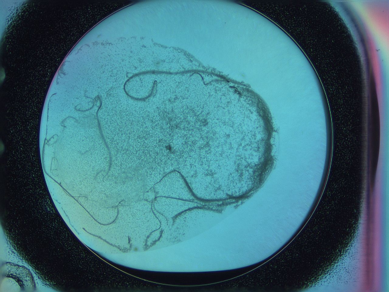 0587_E10_ImagerDefaults_3.jpg