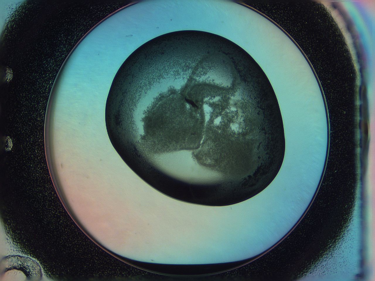 0587_E12_ImagerDefaults_3.jpg