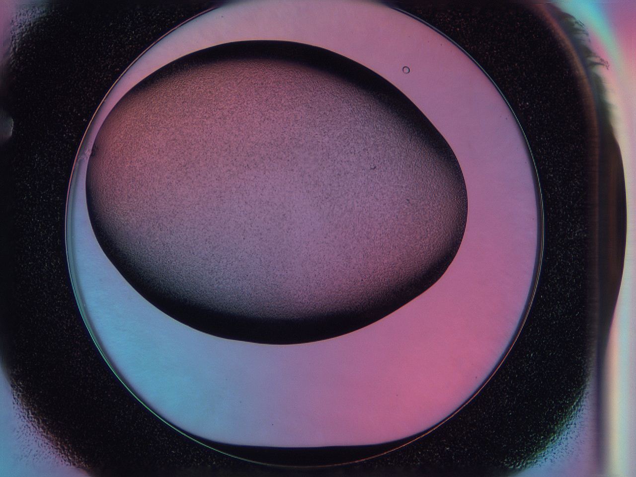 0587_F1_ImagerDefaults_3.jpg