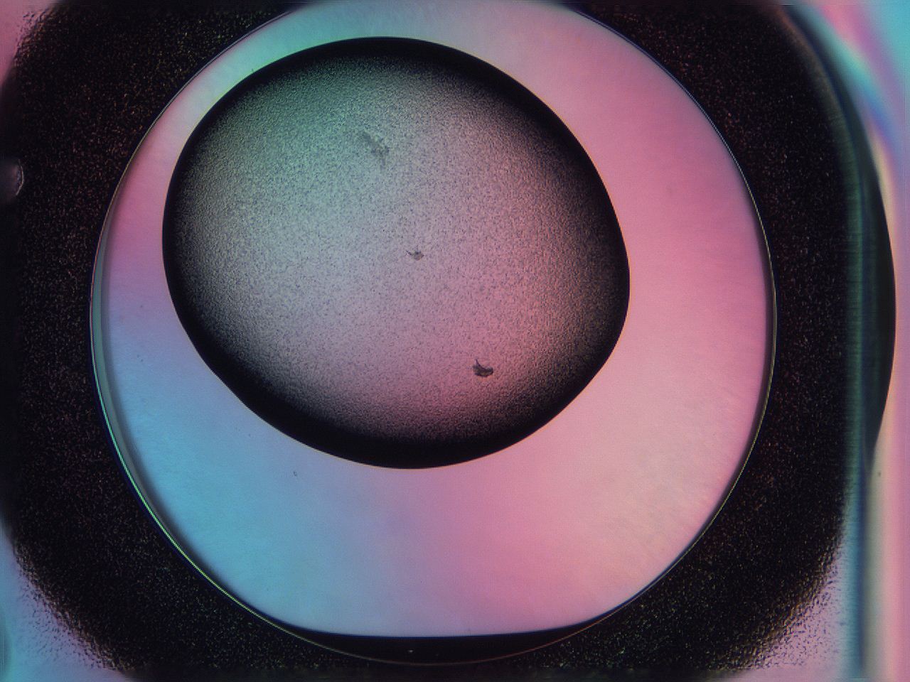 0587_F3_ImagerDefaults_3.jpg