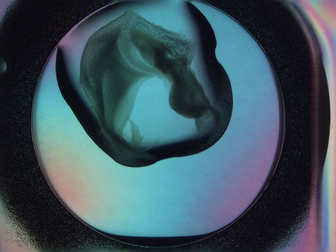 0587_F4_ImagerDefaults_3.jpg