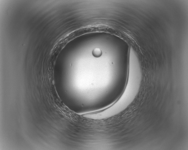 X0000055060920200508161641.png
