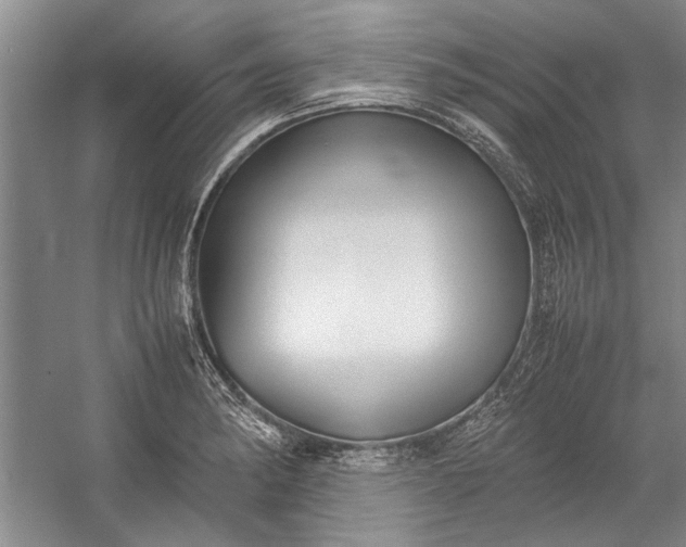 X0000055061182200508161638.png