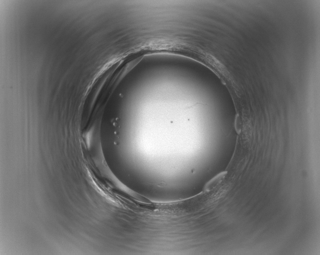X0000055060530200508161648.png