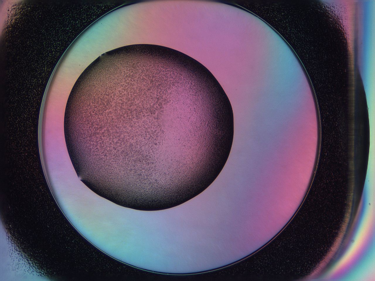 0587_F6_ImagerDefaults_3.jpg