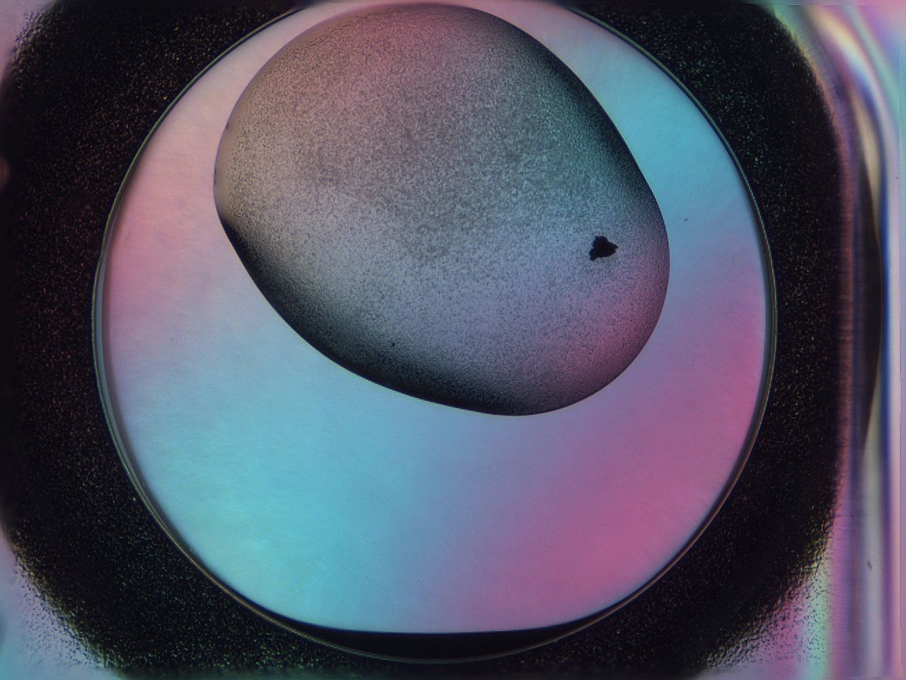 0587_F7_ImagerDefaults_2.jpg