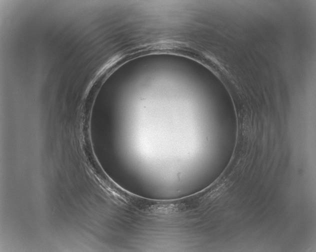 X0000055061410200508161633.png