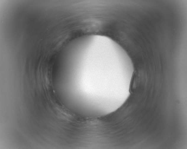 X0000054331250200508111910.png