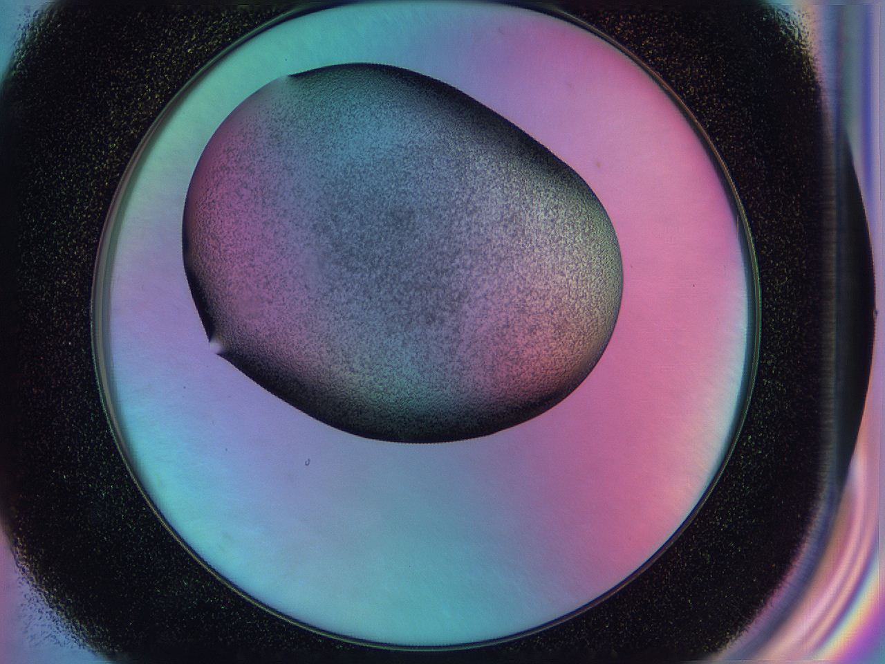 0587_F7_ImagerDefaults_3.jpg