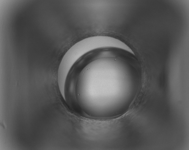 X0000054930048200508291643.png