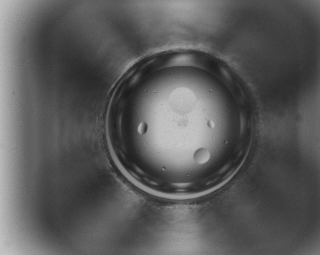 X0000039061185200410072101.png