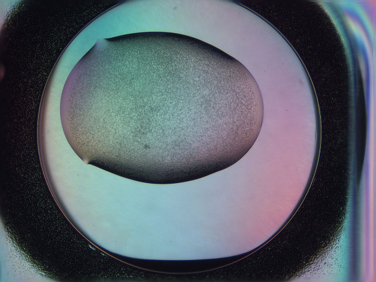 0587_F8_ImagerDefaults_3.jpg