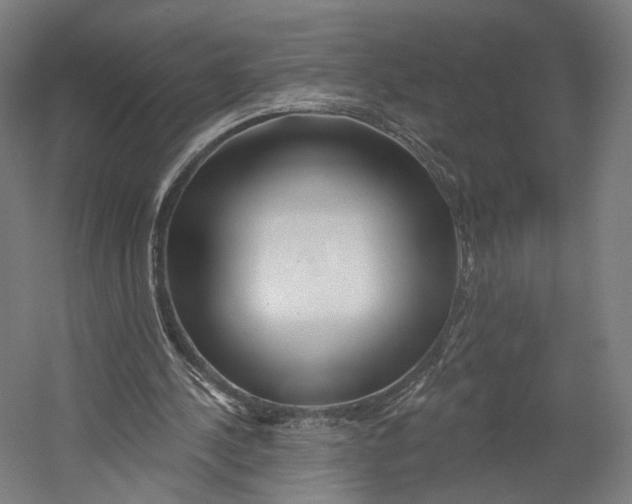 X0000055210244200508301329.png