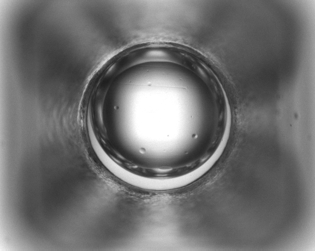 X0000046450885200502211622.png