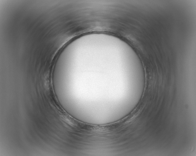 X0000054331170200508111911.png