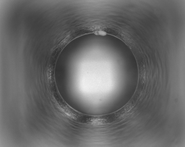 X0000055060268200508161653.png