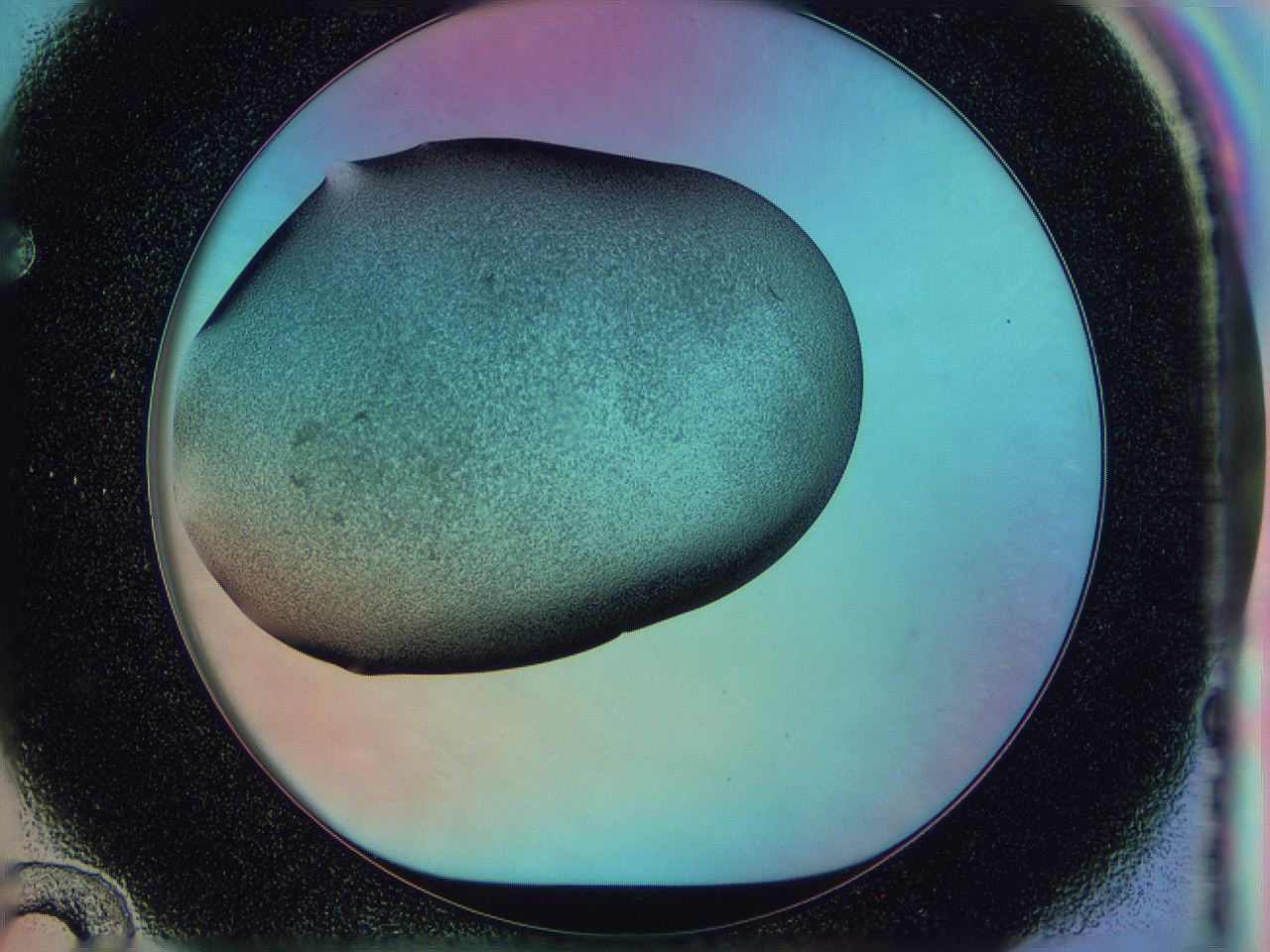 0587_F12_ImagerDefaults_3.jpg
