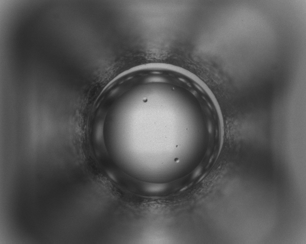 X0000047470655200503091600.png