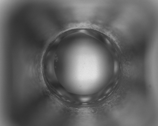 X0000052021480200507181613.png