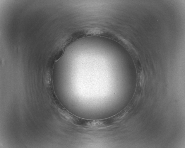 X0000054330517200508111922.png