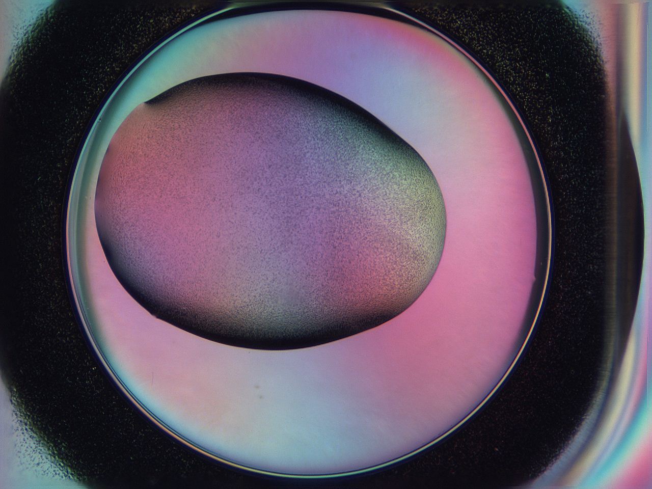 0587_G1_ImagerDefaults_2.jpg