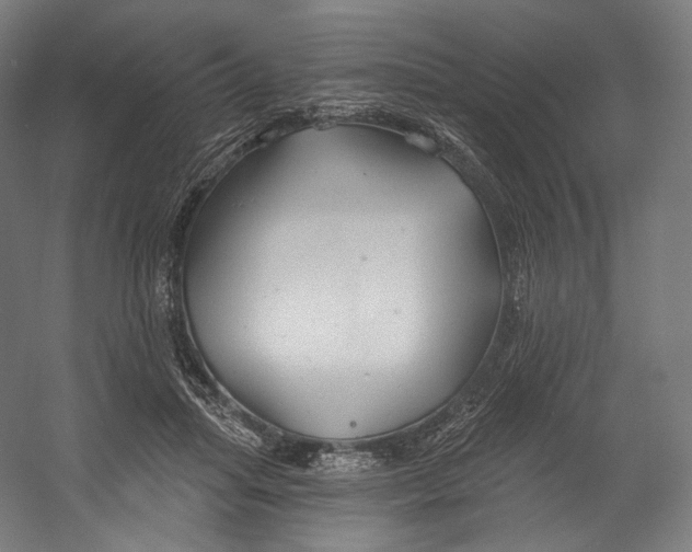 X0000055210455200508301326.png