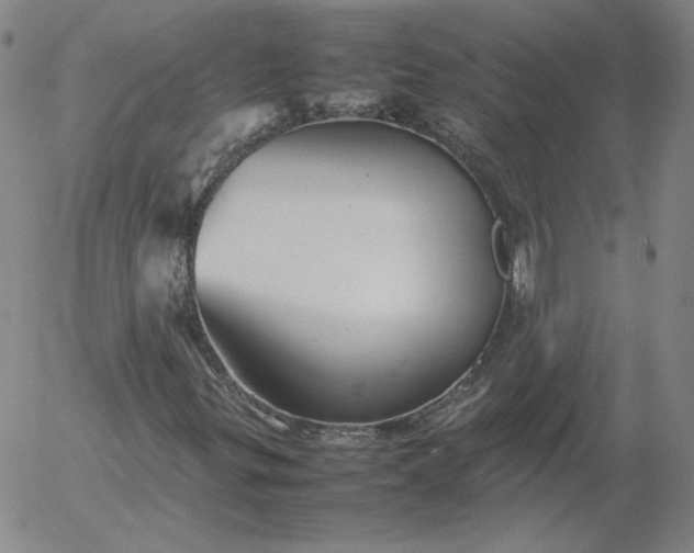 X0000054651299200508091631.png