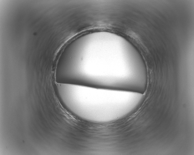 X0000054301260200508042301.png