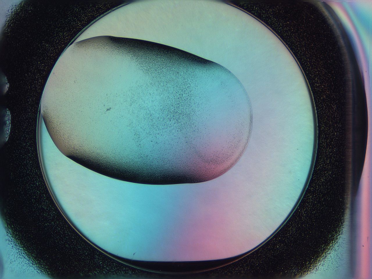 0587_G2_ImagerDefaults_2.jpg